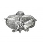 Orchid Wall Decoration