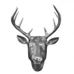 Animal & Friend Wall Decoration